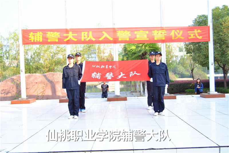 14届队员宣誓暨老队员授衔仪式